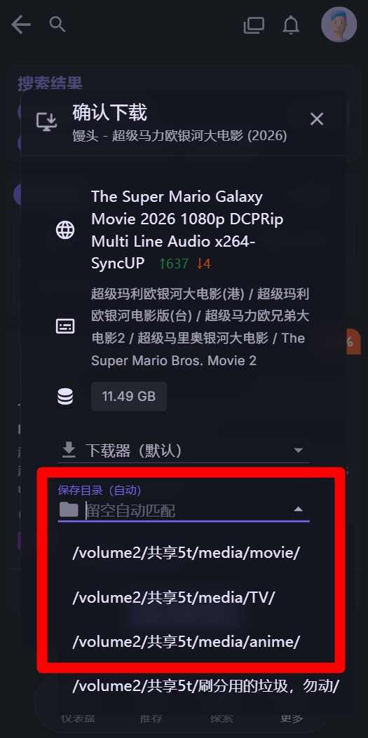 第五步：确认下载类型真实手机模式截图